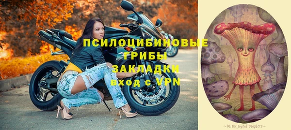 PSILOCYBIN Вяземский