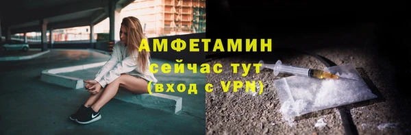 PSILOCYBIN Вяземский