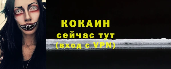 PSILOCYBIN Вяземский
