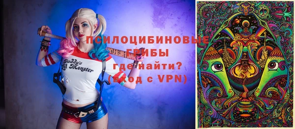 PSILOCYBIN Вяземский