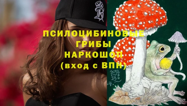 PSILOCYBIN Вяземский