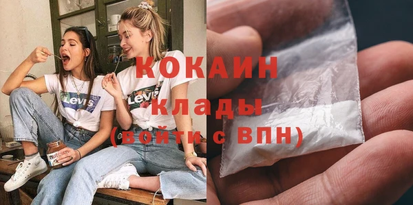 PSILOCYBIN Вяземский