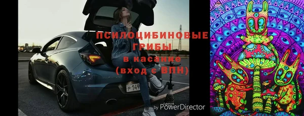PSILOCYBIN Вяземский