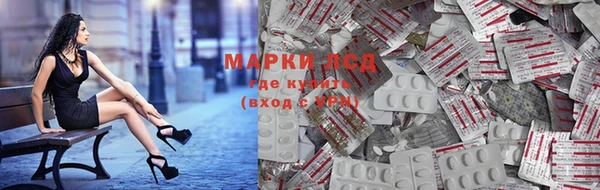 PSILOCYBIN Вяземский