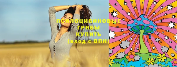 PSILOCYBIN Вяземский