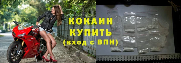 PSILOCYBIN Вяземский